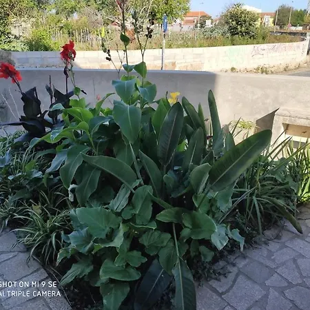 Appartement Yellow House Senhora da Hora