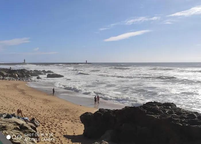 Yellow House 아파트