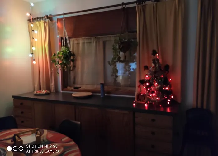 Yellow House 아파트