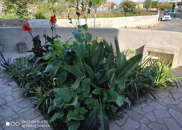 아파트 Yellow House Senhora da Hora